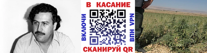 Купить наркотик аптеки Катайск Бошки Шишки  Кокаин  МЕТАДОН  Alpha-PVP  МЕФ  Гашиш 