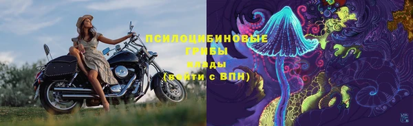 ПСИЛОЦИБИНОВЫЕ ГРИБЫ Богородск