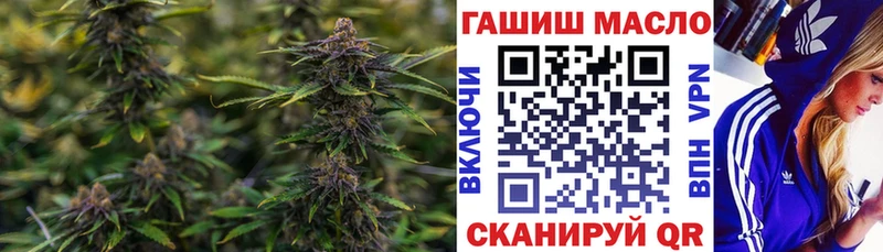 ТГК вейп с тгк  shop как зайти  Катайск 