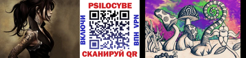 купить наркотик  Катайск  маркетплейс Telegram  Галлюциногенные грибы мицелий 